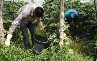 Open letter: The new CAP needs social conditionality