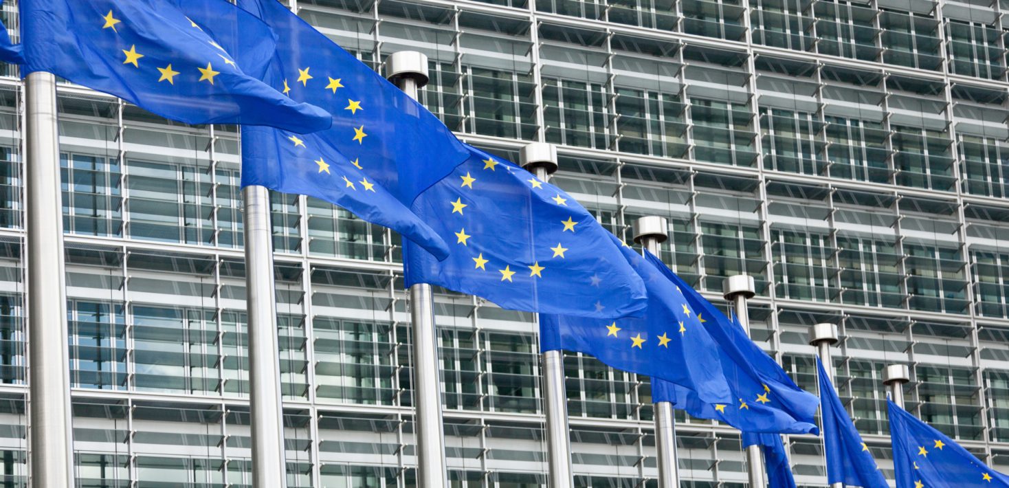 Photo of 9 EU flags waving in front of the European Parliament.