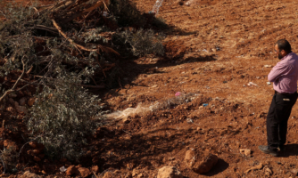 Urgent call on the EU to end Israel’s ethnic cleansing of Palestinians in the West Bank
